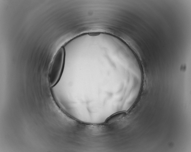 X0000112390805200909101410