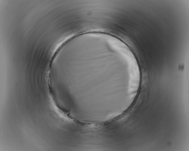 X0000112390806200909101410