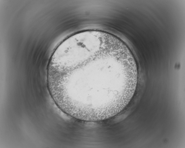 X0000112390807200909101410