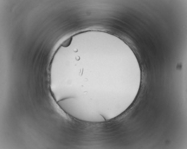 X0000112390808200909101410