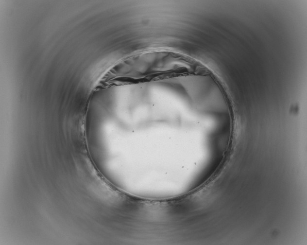 X0000112390809200909101410