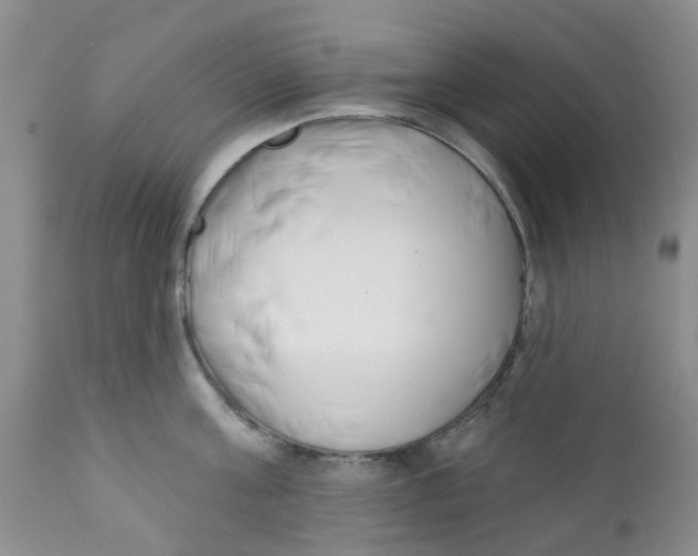 X0000112390811200909101410