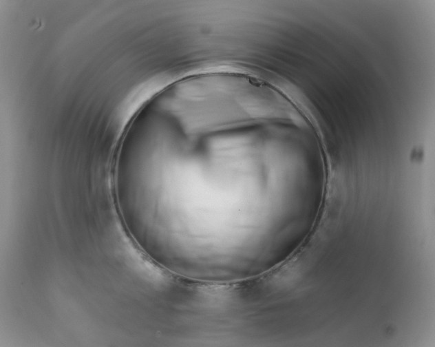 X0000112390813200909101410