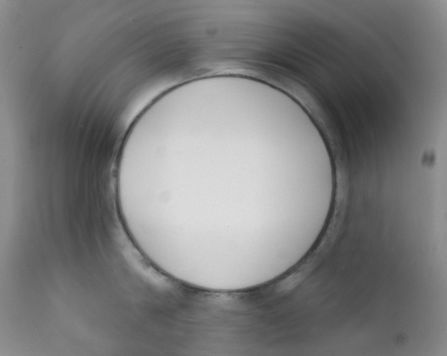 X0000112390814200909101410