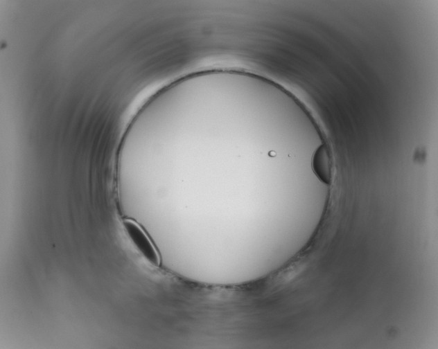 X0000112390815200909101410