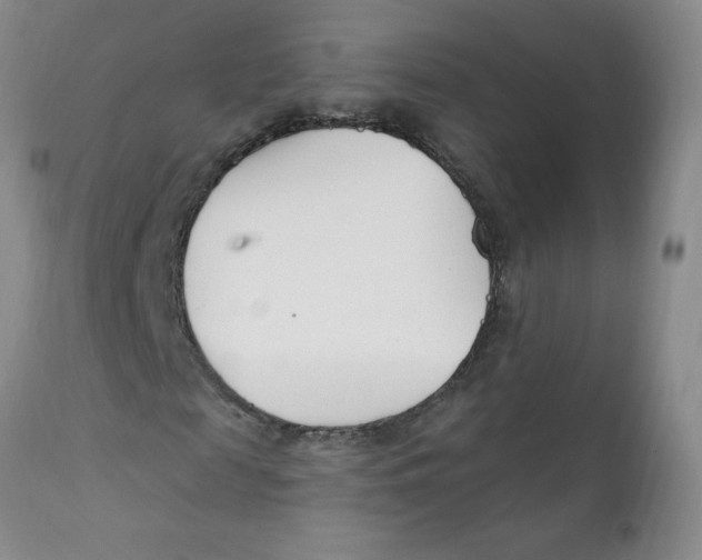 X0000112390817200909101409