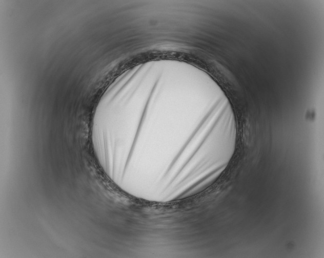 X0000112390821200909101409