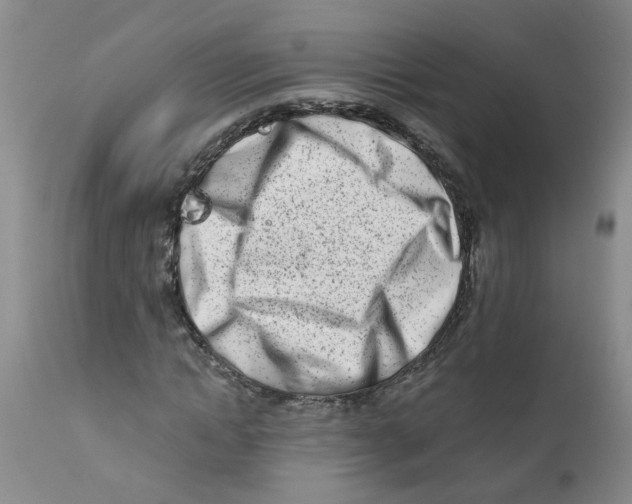 X0000112390822200909101409