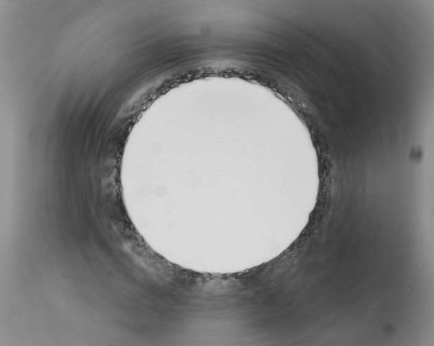 X0000112390824200909101409