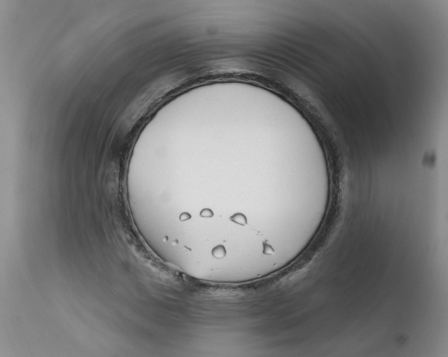 X0000112390825200909101409