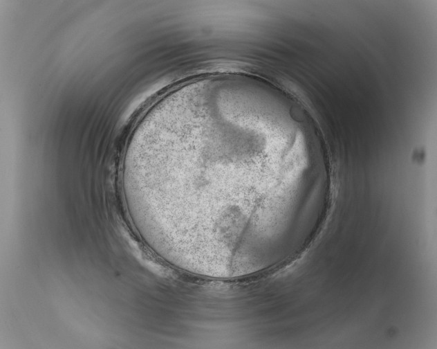 X0000112390827200909101409