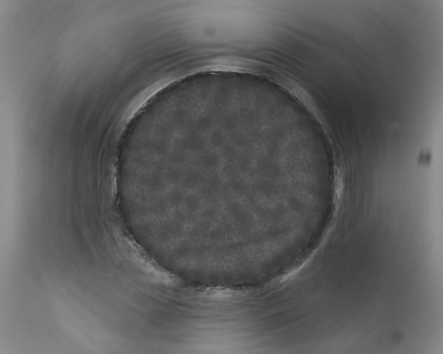 X0000112390829200909101409