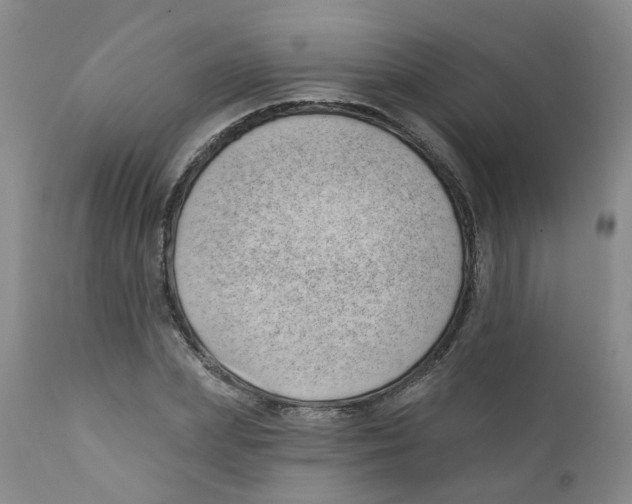 X0000112390831200909101409