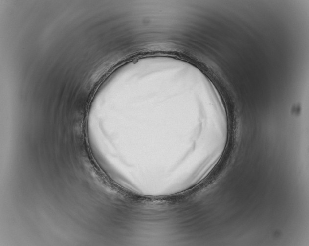 X0000112390833200909101409