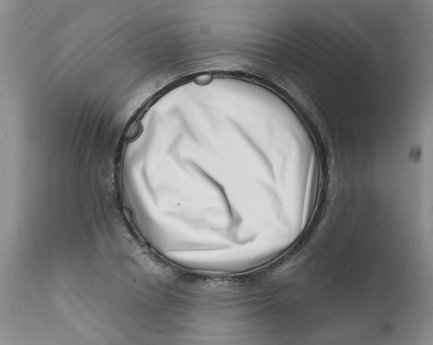 X0000112390834200909101409