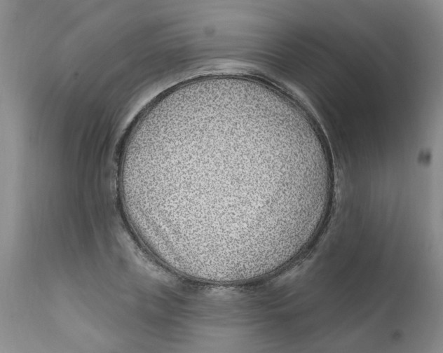 X0000112390835200909101409