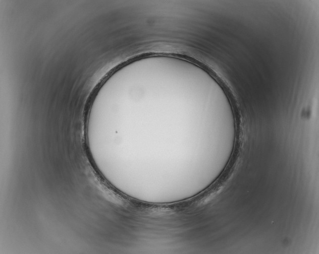X0000112390837200909101409