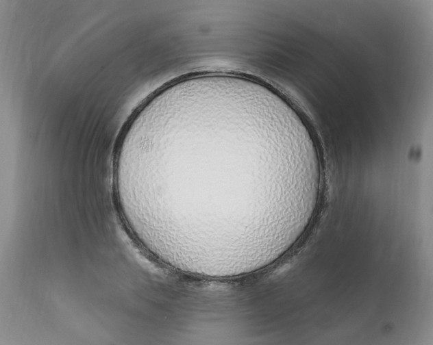 X0000112390839200909101409