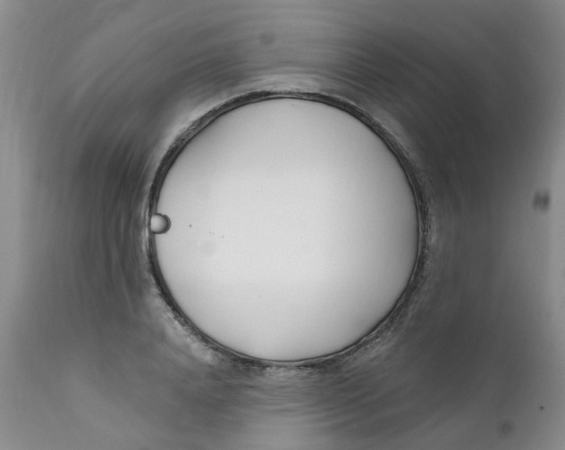 X0000112390840200909101409