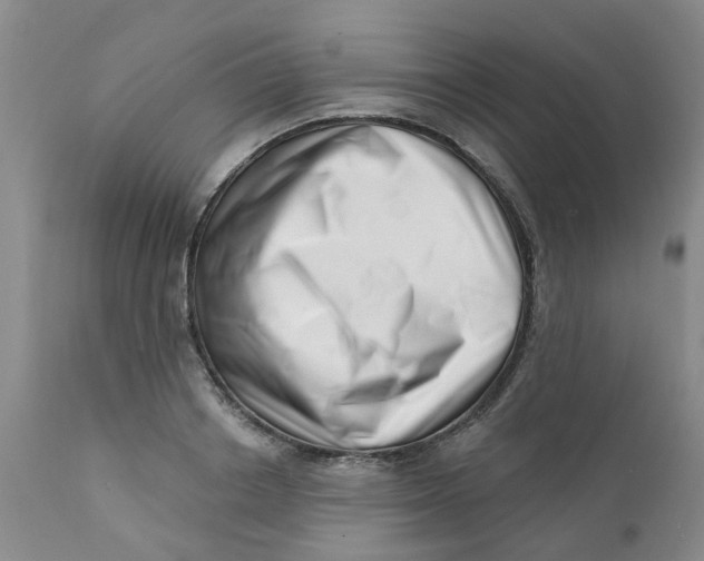 X0000112390842200909101409