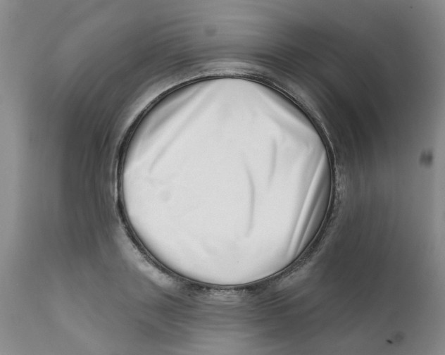 X0000112390843200909101409