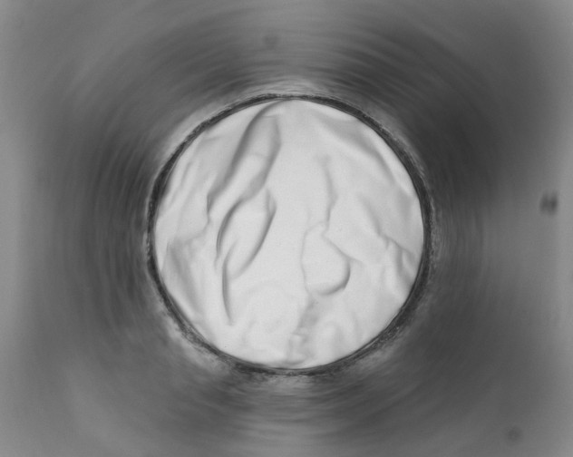 X0000112390845200909101409