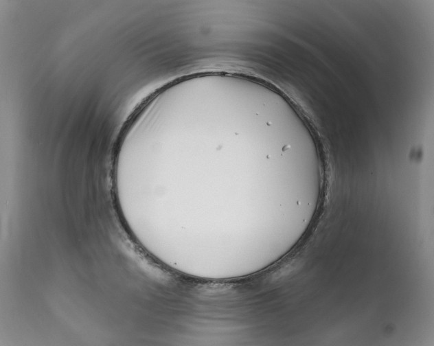 X0000112390846200909101409