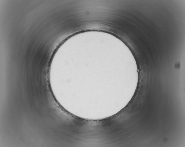 X0000112390848200909101409