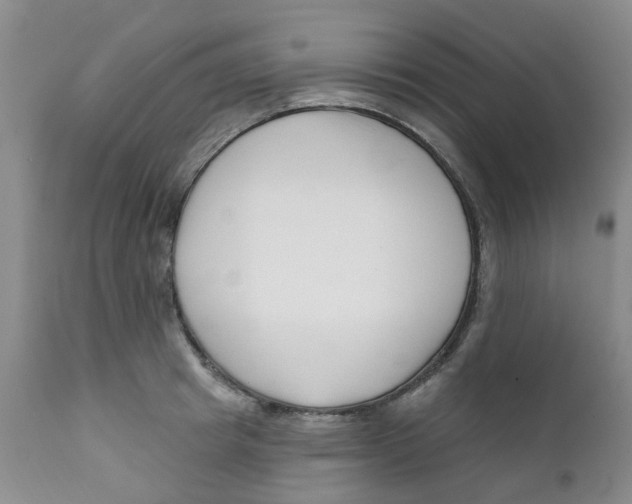 X0000112390849200909101409