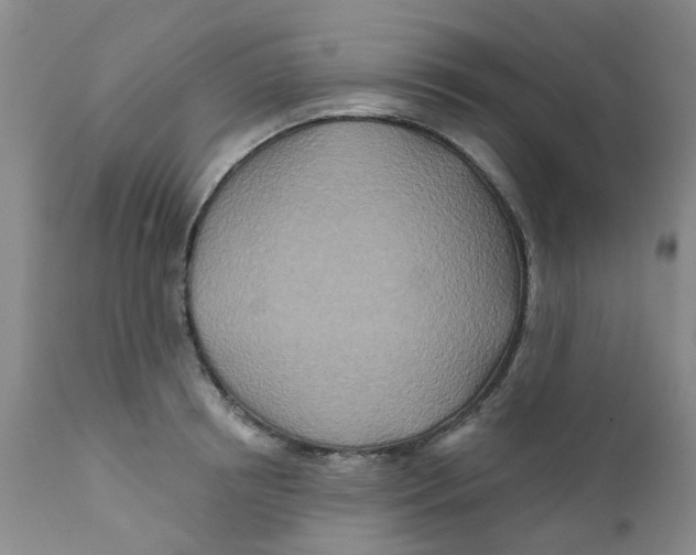 X0000112390850200909101409