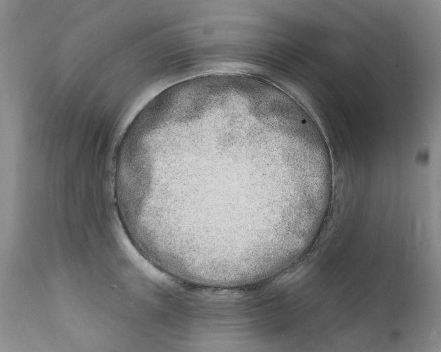 X0000112390851200909101409