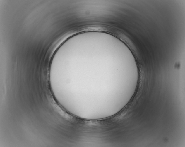 X0000112390852200909101409