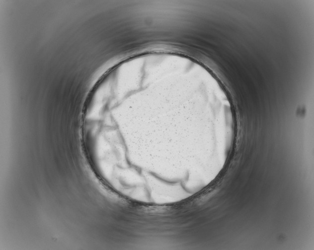 X0000112390853200909101409