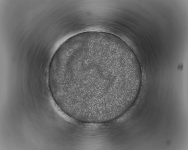 X0000112390854200909101409