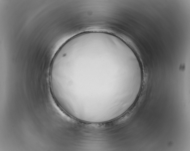 X0000112390855200909101409