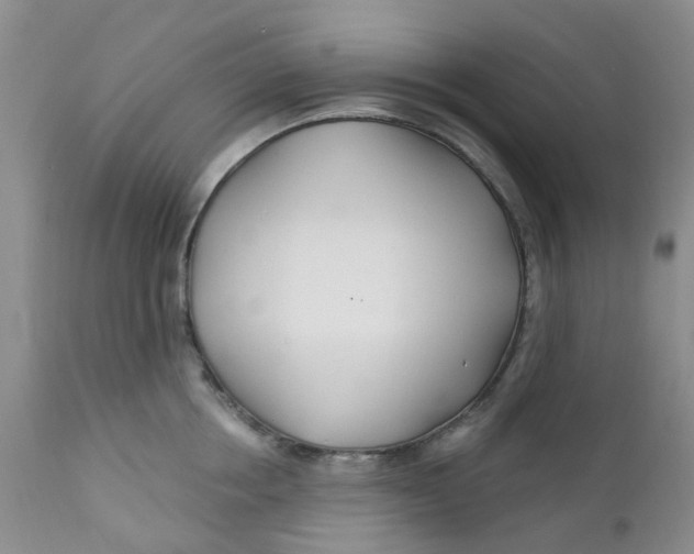X0000112390858200909101409