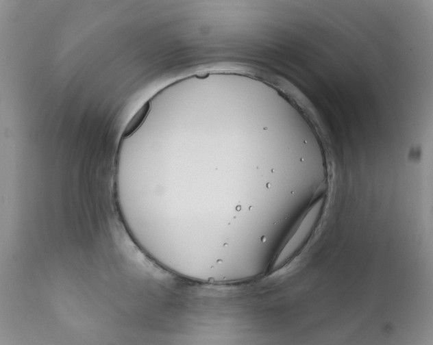 X0000112390860200909101409