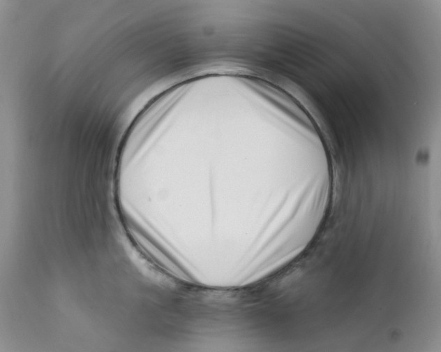 X0000112390861200909101409