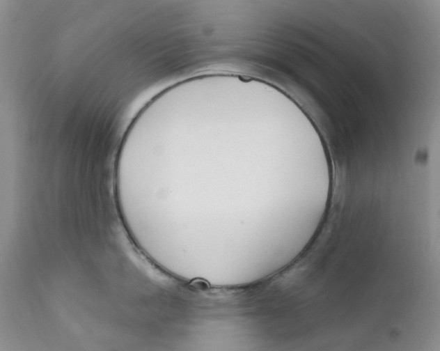 X0000112390862200909101409
