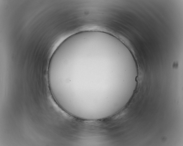 X0000112390863200909101409