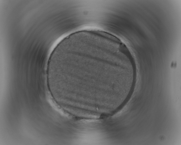 X0000112390864200909101409