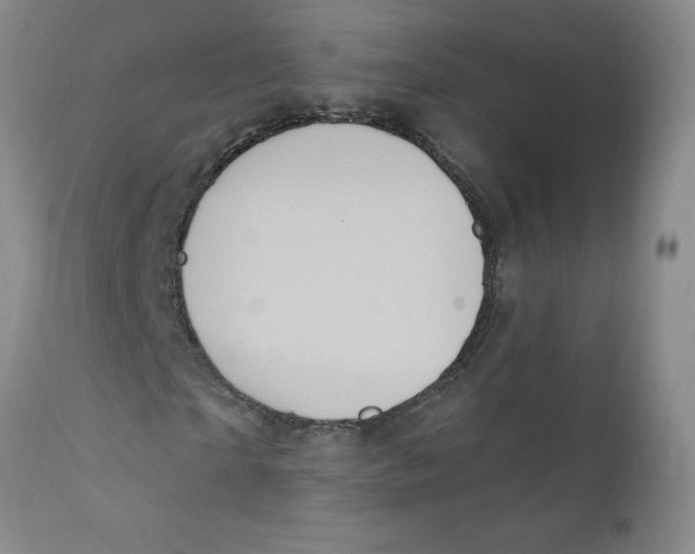 X0000112390865200909101409