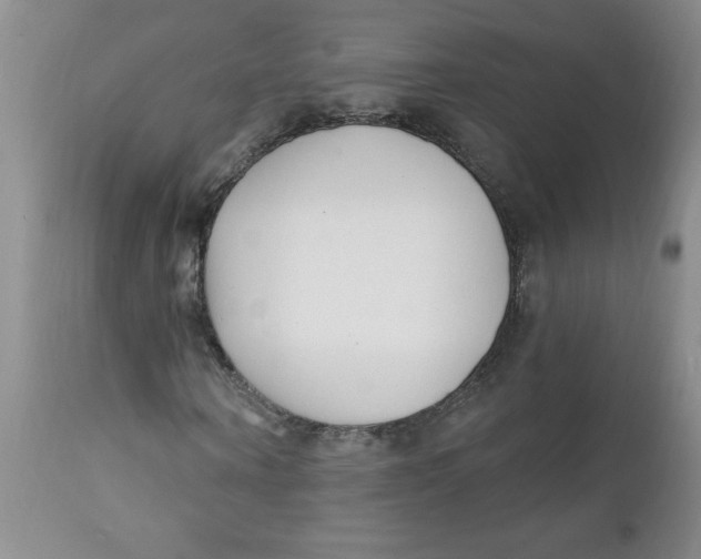 X0000112390866200909101409