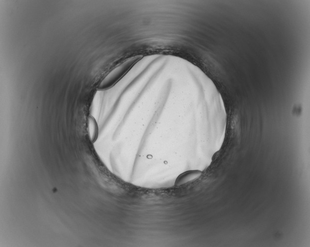 X0000112390868200909101409