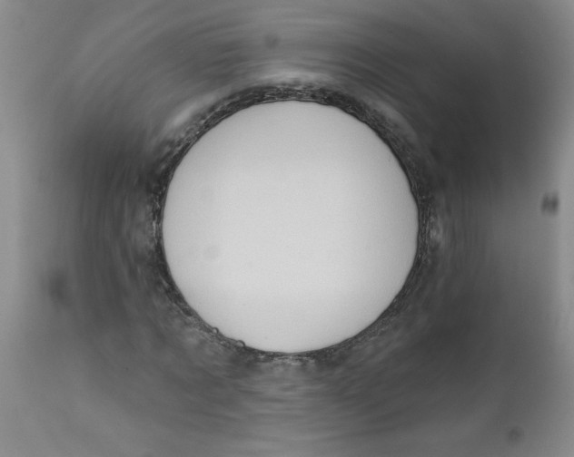 X0000112390869200909101409