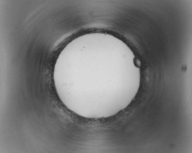 X0000112390872200909101409