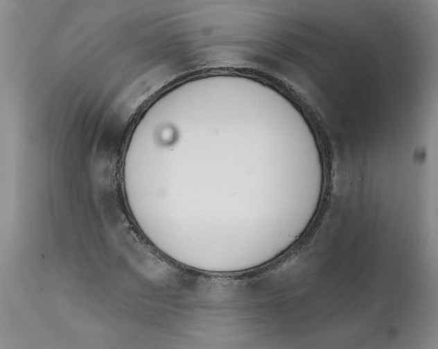 X0000112390873200909101409