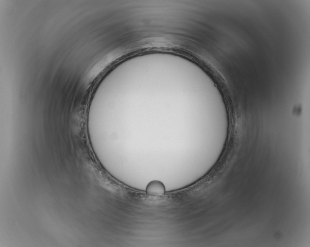 X0000112390874200909101409