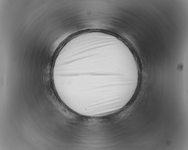 X0000112390875200909101409