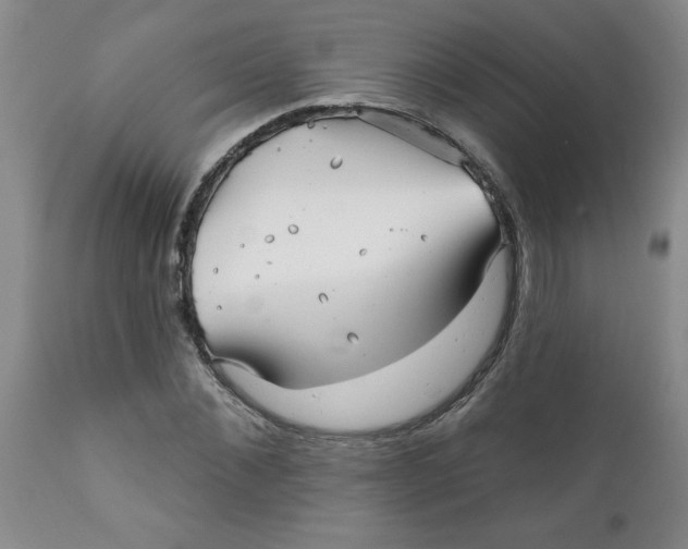 X0000112390876200909101409